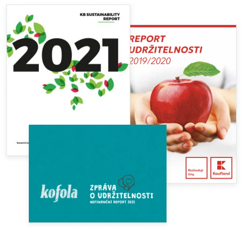 reporty-udrzitelnosti.webp